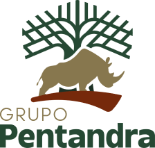 Grupo Pentandra logo